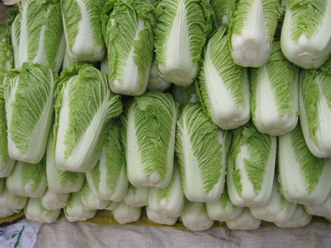 大白菜冷庫安裝好后儲藏需要做好哪些準(zhǔn)備工作？