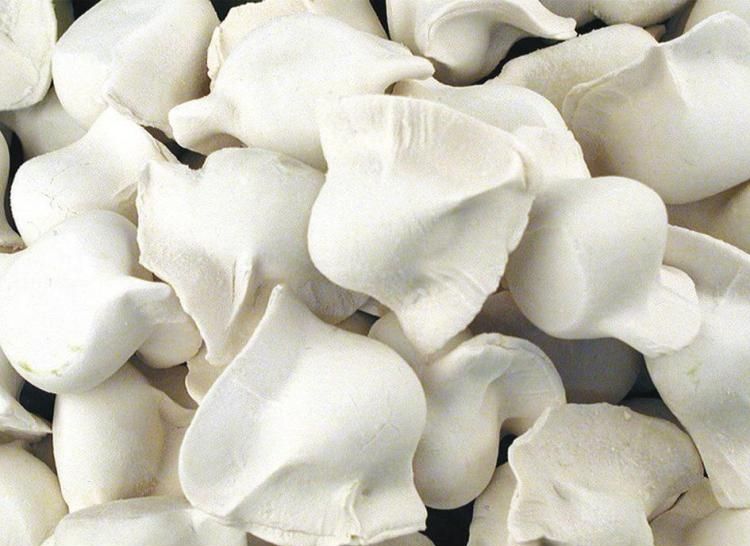 為什么選擇低溫速凍冷庫貯藏水餃、湯圓