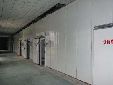 氣調庫相比較保鮮庫而言的話都有哪些特點？