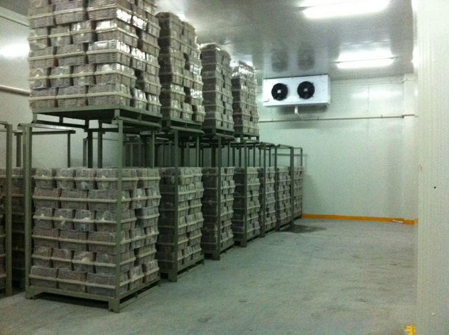 冷庫裝什么燈合適？冷庫燈和普通燈有有什么區(qū)別