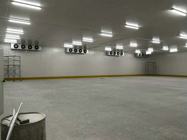 建造100平方冷凍庫需要多少錢？