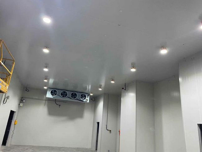 建個存放10噸貨物的冷庫大概需要多少錢？